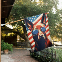 Belgian Malinois 4th of July Independence day