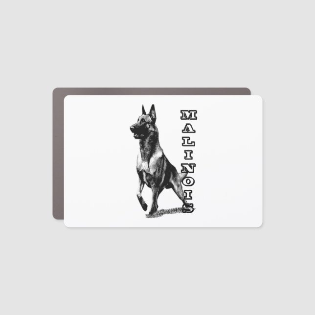 Belgian Malinois are the Best  Car Magnet (Front)