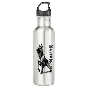 Belgian Malinois are the Best Stainless Steel Water Bottle