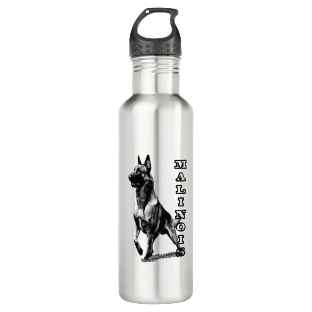 Belgian Malinois are the Best  Stainless Steel Water Bottle (Front)