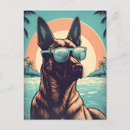 Belgian Malinois at a tropical beach during sunset Postcard