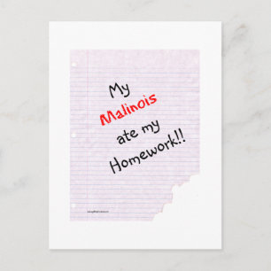 Belgian Malinois Ate My Homework Postcard
