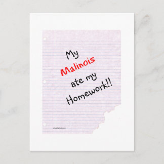 Belgian Malinois Ate My Homework Postcard