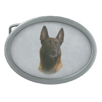 belgian malinois