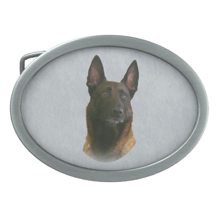 police dog belt