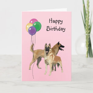 Belgian Malinois, Birthday Balloons Card