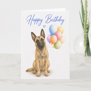 Belgian Malinois Birthday Card