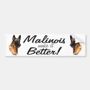 Belgian Malinois bumper sticker