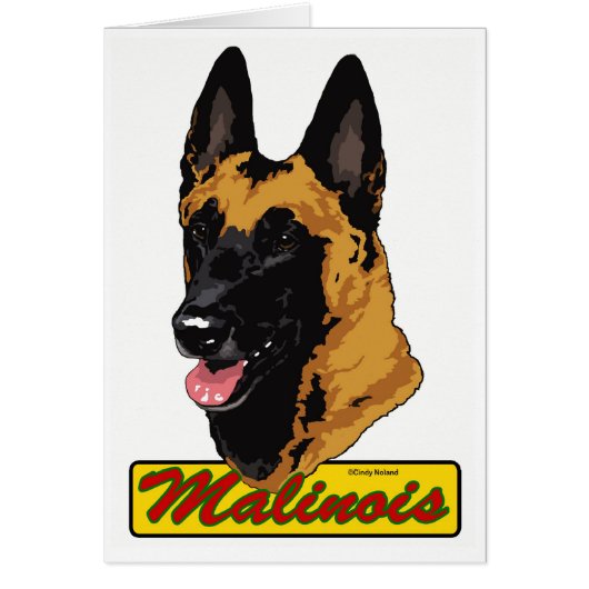 Belgian Malinois Cards (Front)