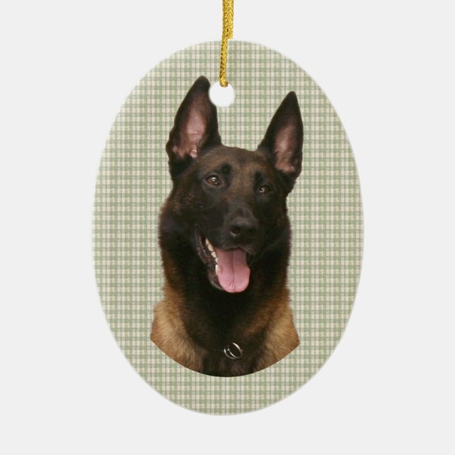 belgian malinois ceramic ornament (Front)
