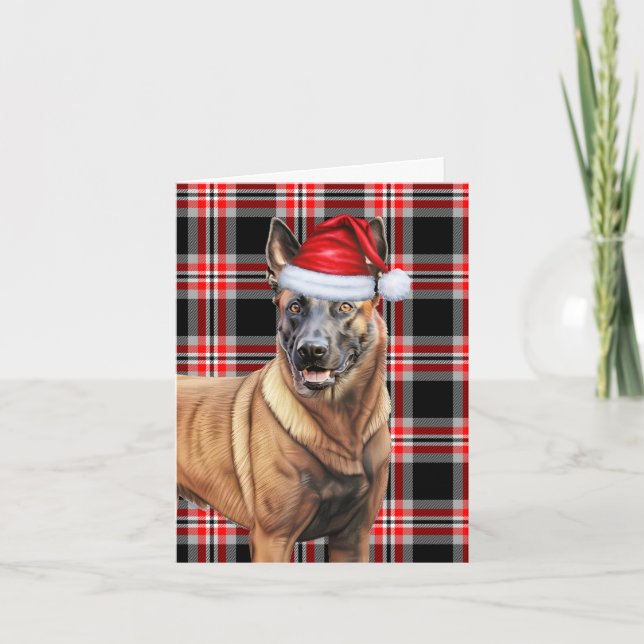 Belgian Malinois Christmas Dog Red Plaid Christmas Holiday Card (Front)