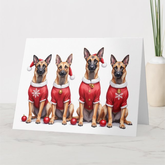 Belgian Malinois Christmas Dress Santa Hat Card (Front)