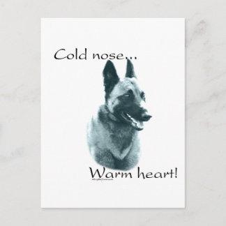 Belgian Malinois Cold Nose Warm Heart Postcard