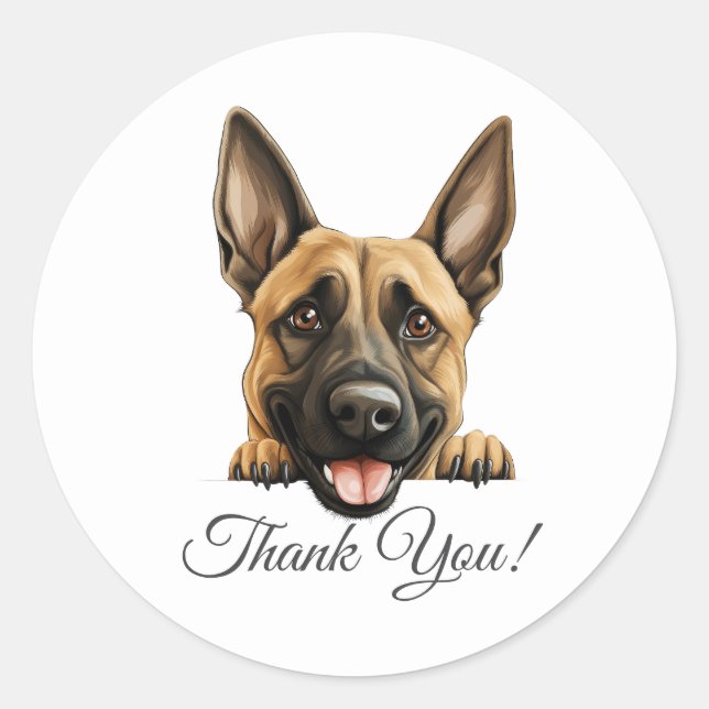 Belgian Malinois Cute Dog Thank You Classic Round Sticker (Front)