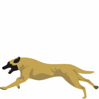 Belgian Malinois Cutout