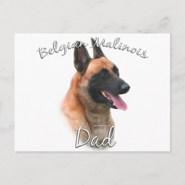 Belgian Malinois Dad 2 Postcard (Front)