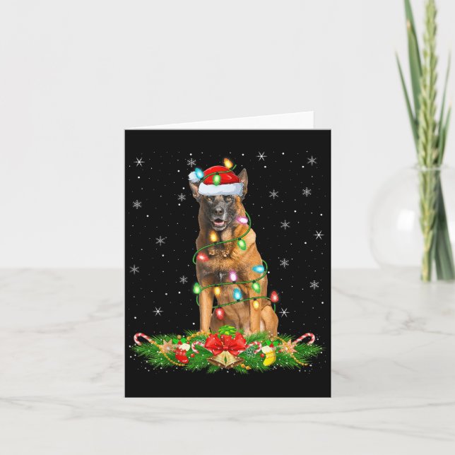 Belgian Malinois Dog Christmas Lights Funny Santa  Card (Front)