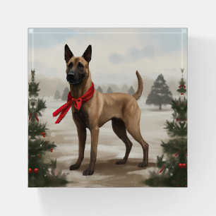 Belgian Malinois Dog in Snow Christmas Paperweight