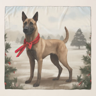 Belgian Malinois Dog in Snow Christmas Scarf