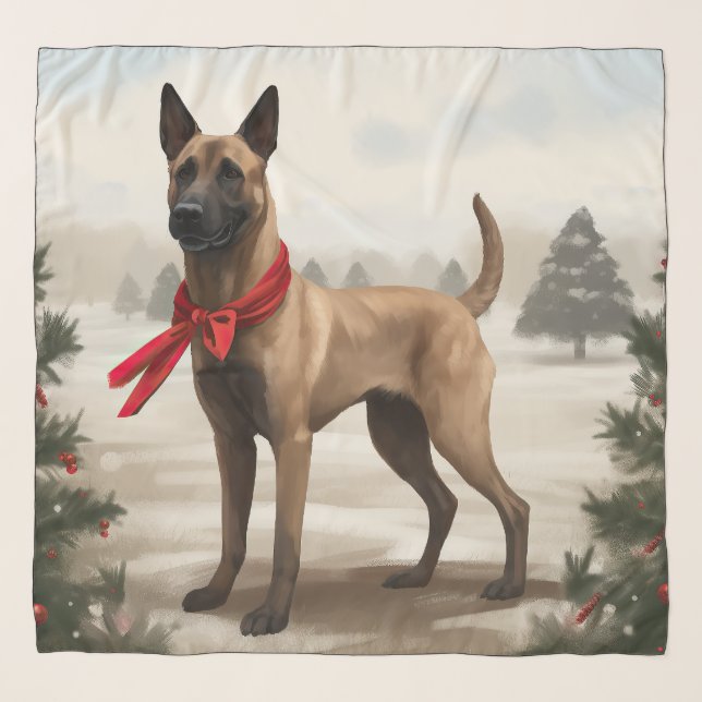 Belgian Malinois Dog in Snow Christmas Scarf (Front)