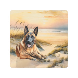 Belgian Malinois Dog Lover Sandy Beach Metal Print