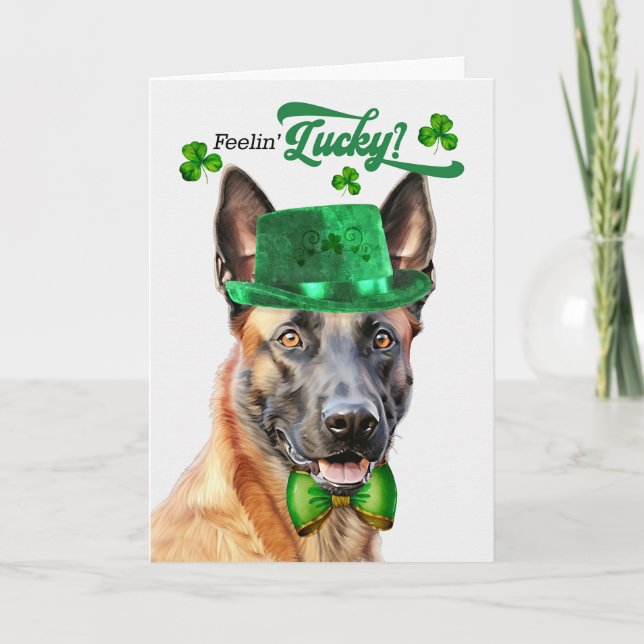 Belgian Malinois Dog Lucky St Patrick's Day Holiday Card (Front)