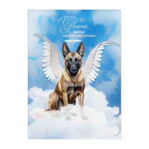 Belgian Malinois Dog Personalized Pet Memorial Acrylic Print