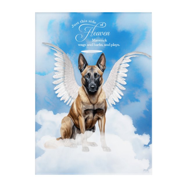 Belgian Malinois Dog Personalized Pet Memorial Acrylic Print (Front)