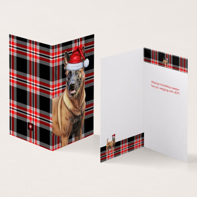 Belgian Malinois Dog Red Plaid Holiday Card (Inside and Outside)