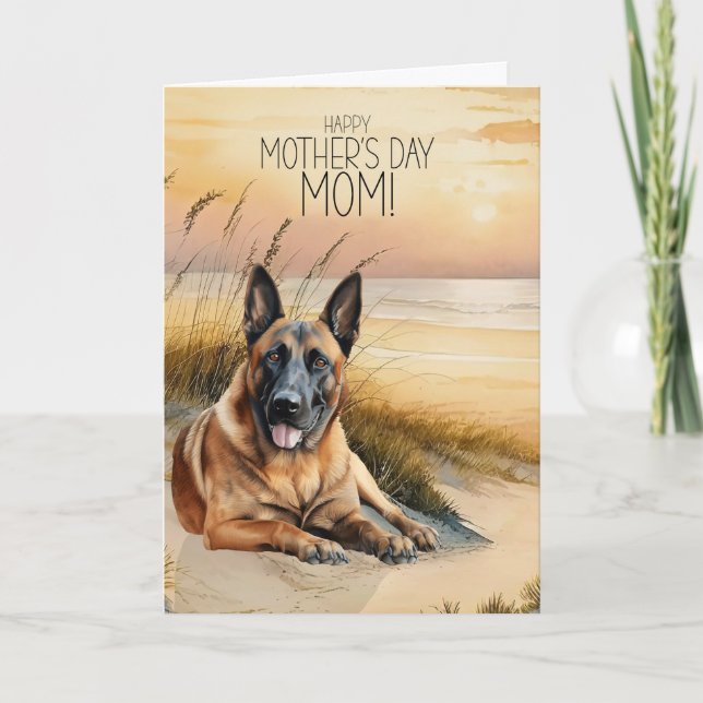 Belgian Malinois Dog Sunset Beach Mother's Day Holiday Card (Front)