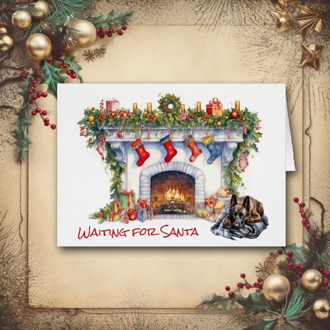 Belgian Malinois Dog Waiting for Santa Cards (Creator Uploaded)