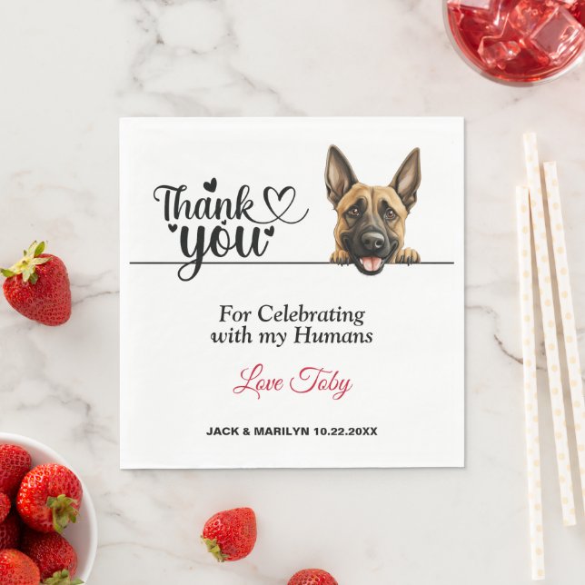 Belgian Malinois Dog Wedding Cocktail Napkins (Insitu)