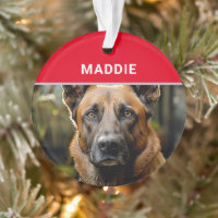 Belgian Malinois Dog's Name and Photo Christmas