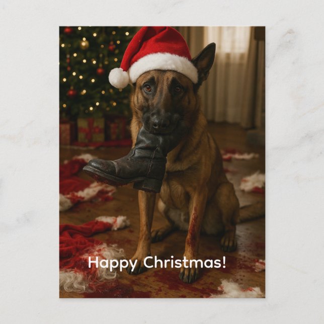 Belgian Malinois Eaten Santa Christmas postcard (Front)