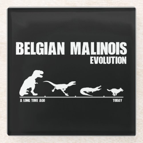 Belgian Malinois Evolution    Glass Coaster