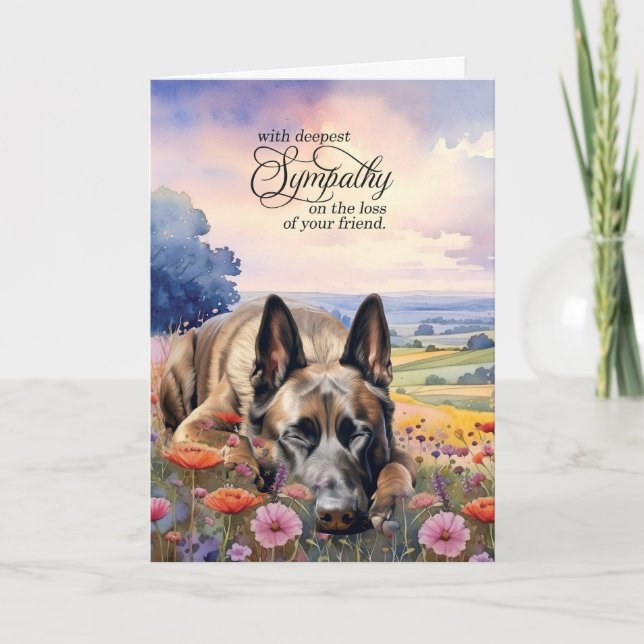 Belgian Malinois Field of Wildflowers Pet Sympathy Card (Front)