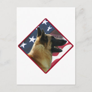 Belgian Malinois Flag; Malinois 4th of July, USA Postcard