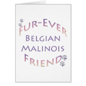 Belgian Malinois Furever (Front)