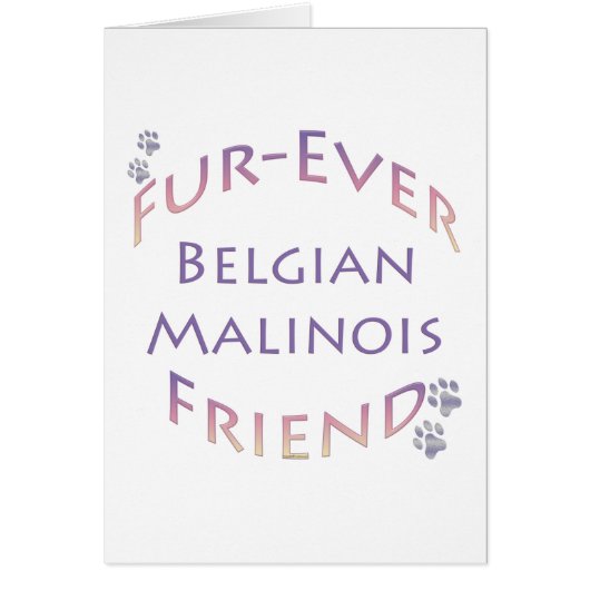 Belgian Malinois Furever (Front)