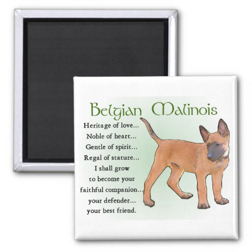 Belgian Malinois Gifts Magnet