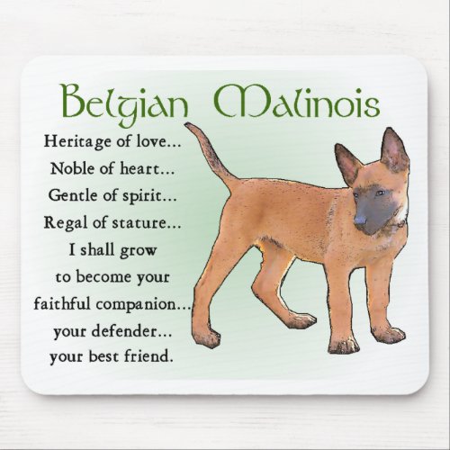 Belgian Malinois Gifts Mouse Pad