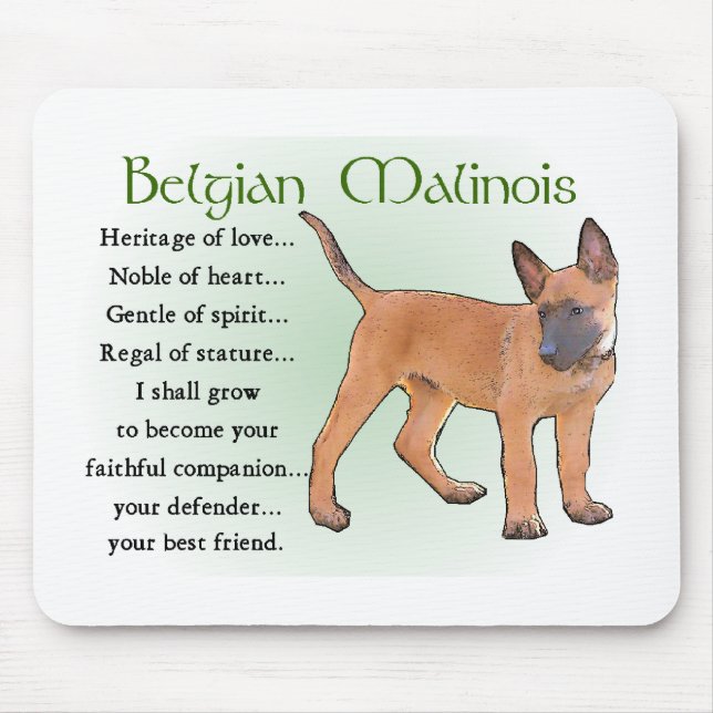 Belgian Malinois Gifts Mouse Pad (Front)