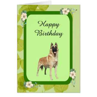 Belgian Malinois Birthday Cards - Invitations, Greeting & Photo Cards ...