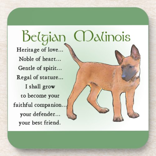 Belgian Malinois Heritage of Love Coaster