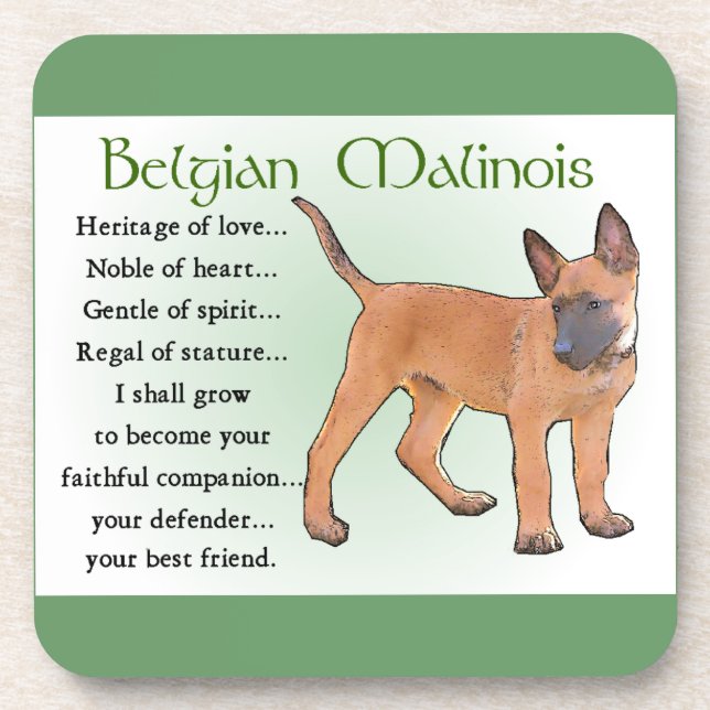 Belgian Malinois Heritage of Love Coaster (Front)