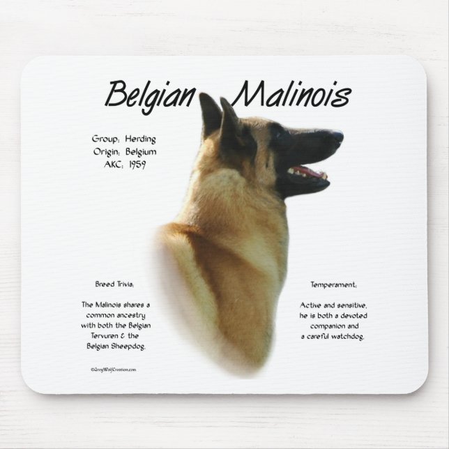 Belgian Malinois History; All about Malinois Mouse Pad (Front)