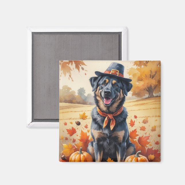 Belgian Malinois In Autumn Leaves Thanksgiving Art Magnet (Front/Back)