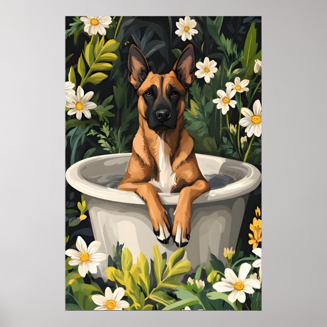 Belgian Malinois In Bathtub Poster, Funny Dog Poster (Front)