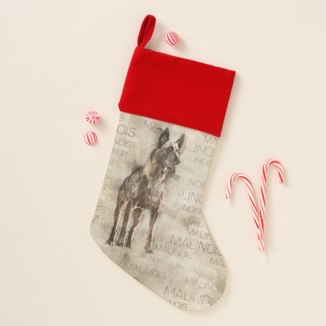 Belgian Malinois - Mechelaar  - Maligator Christmas Stocking (Front)