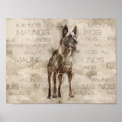 Belgian Malinois _ Mechelaar  _ Maligator Poster